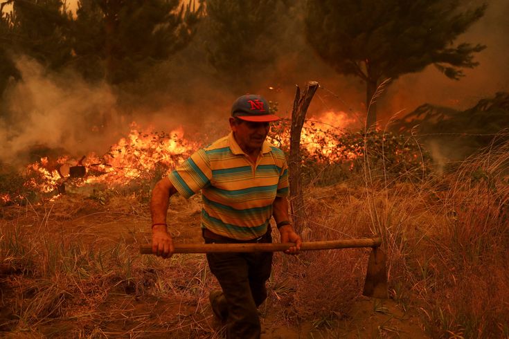 Chile Forest Fire