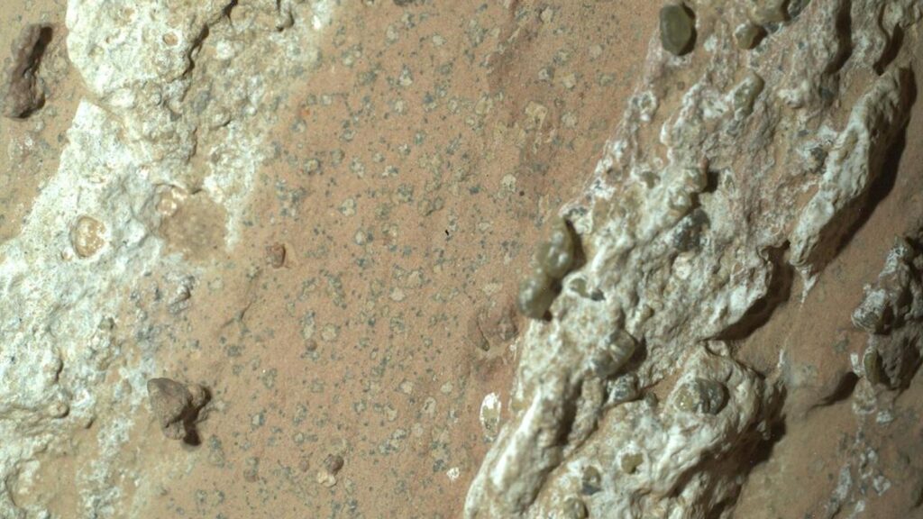 Life on mars evidence