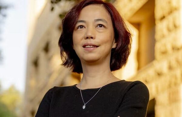 Fei Fei Li AI godmother