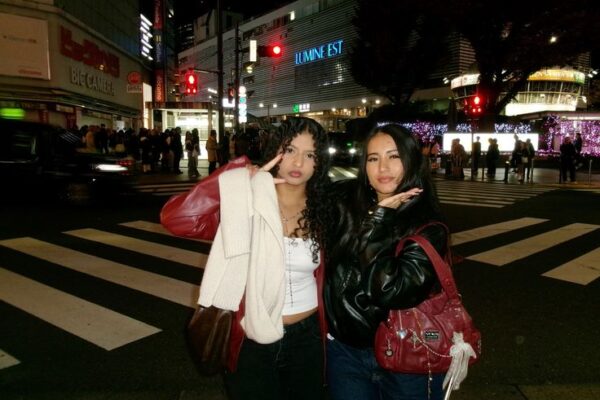 Japan tourism stocks fall