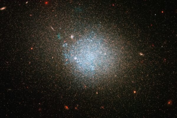 Dwarf galaxies dark matter debate