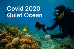 Covid 2020 quiet ocean