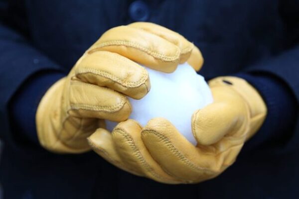 Minneapolis business impact immigration enforcement