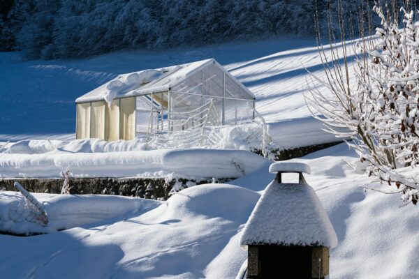 Northeast US snowfall climate change